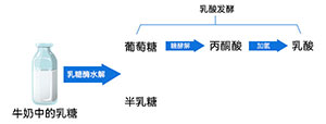 酸奶發(fā)酵原理